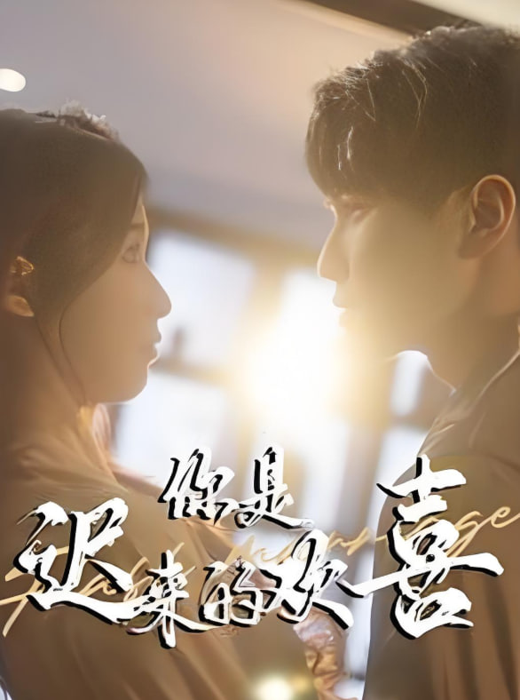 你是迟来的欢喜