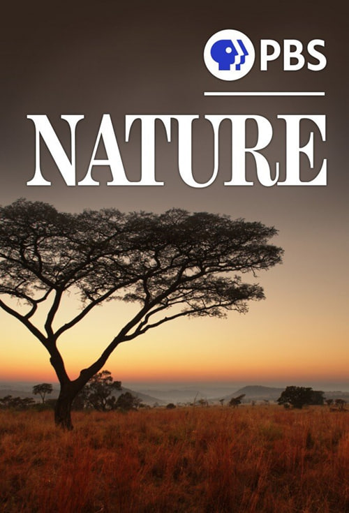 自然 第四十二季