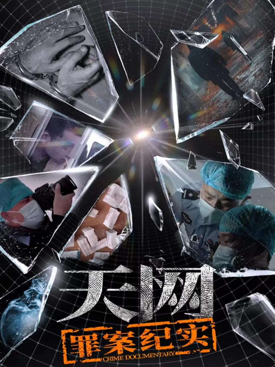 天网：罪案纪实