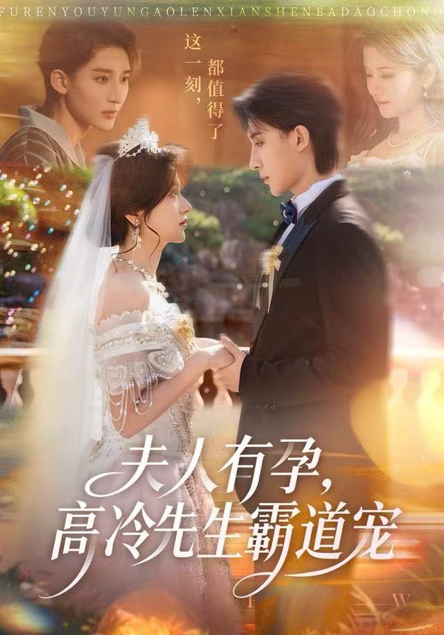夫人有孕，高冷先生霸道宠