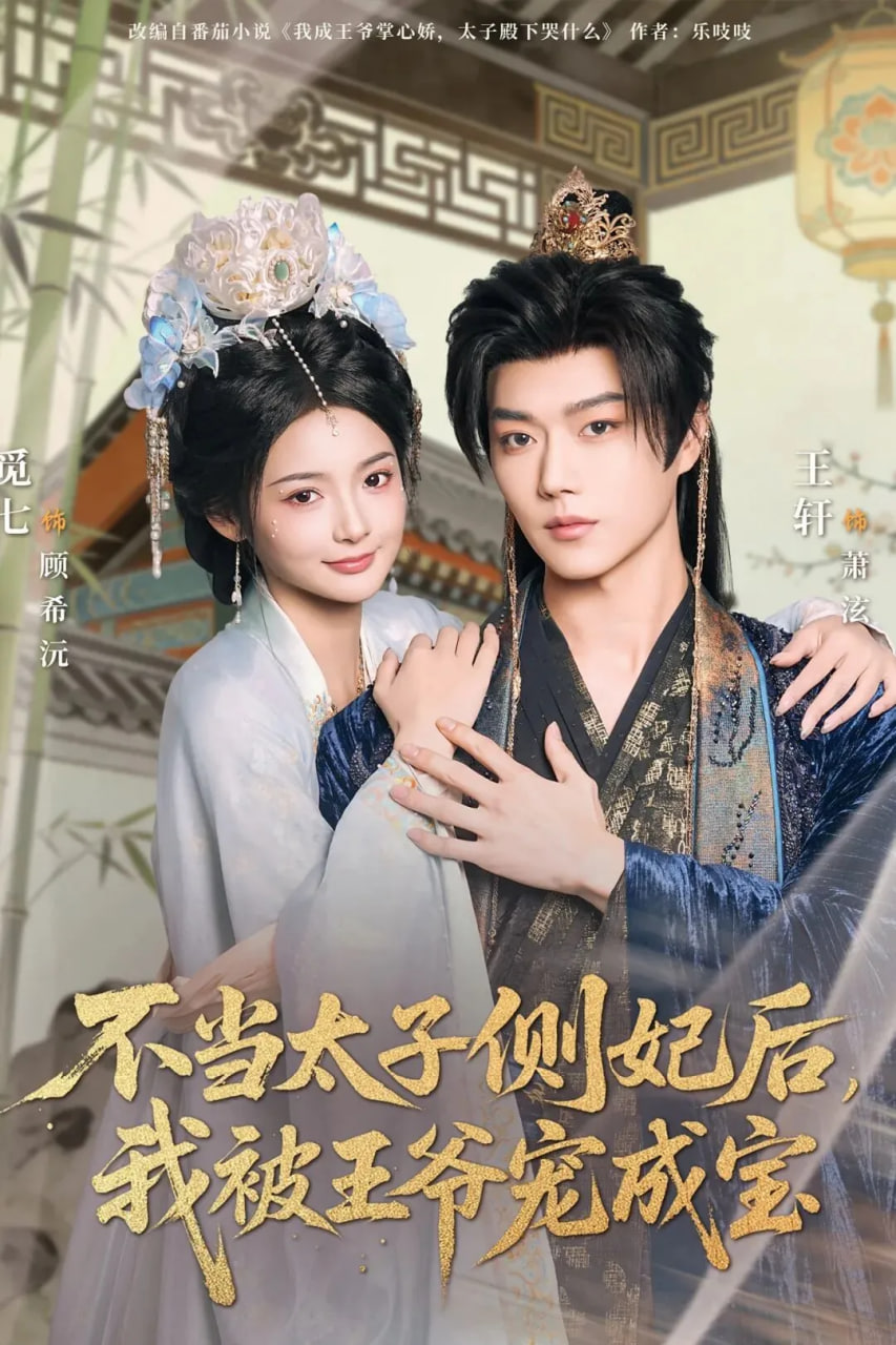 不当太子侧妃后，我被王爷宠成宝