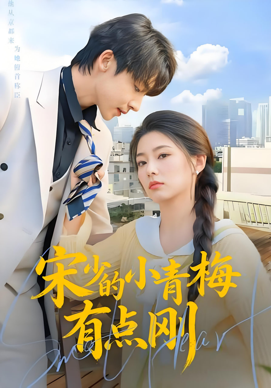 宋少的小青梅有点刚