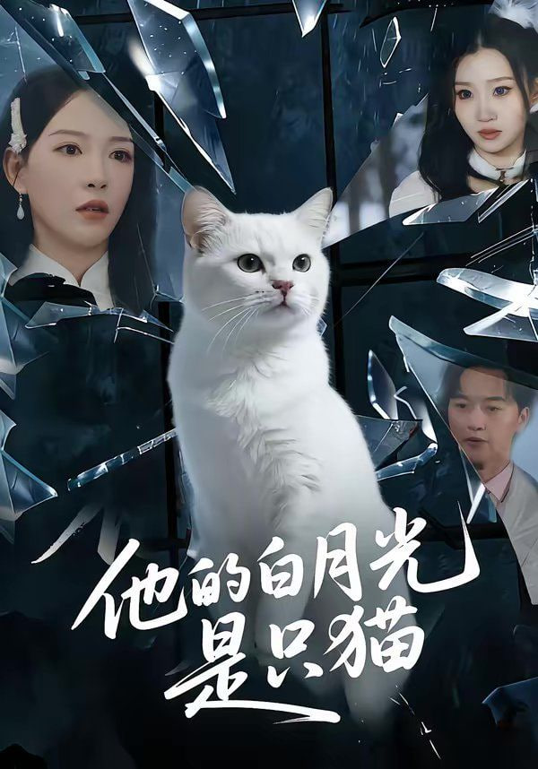 他的白月光是只猫