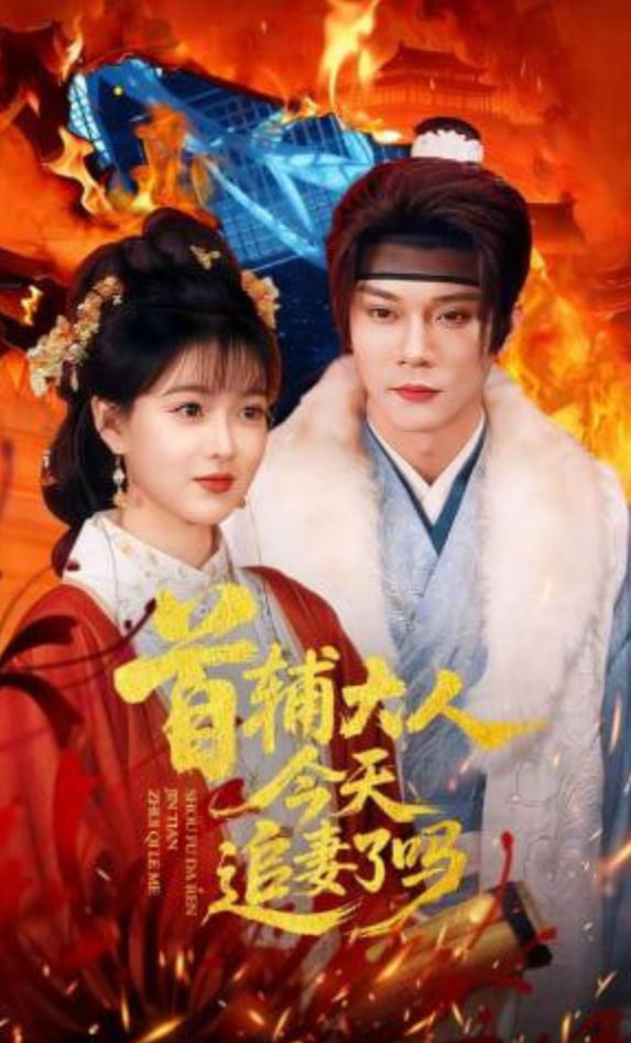 首辅大人今天追妻了吗