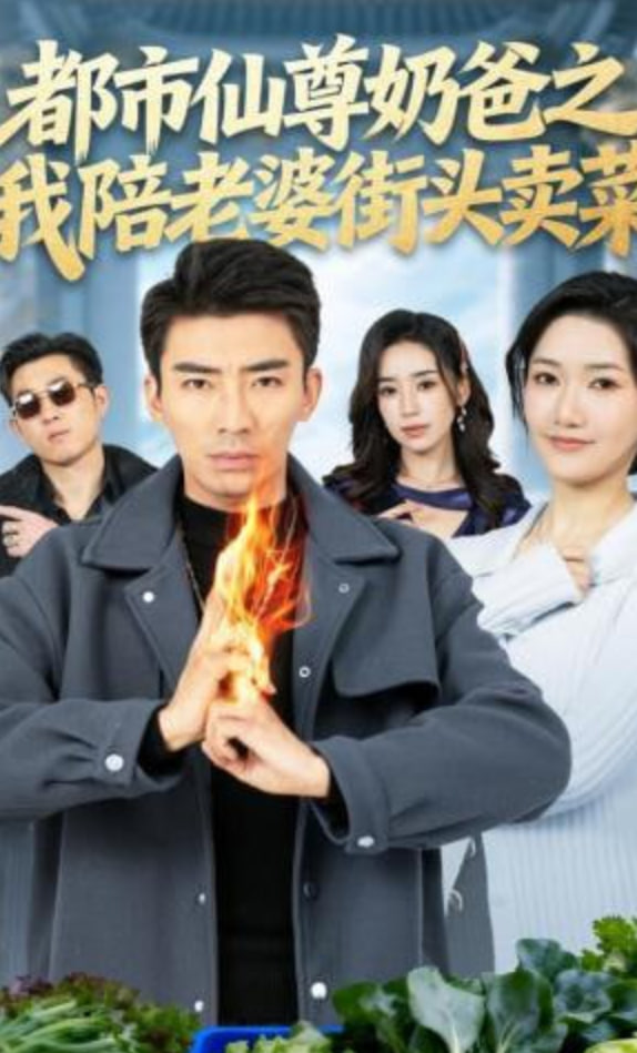 都市仙尊奶爸之我陪老婆街头卖菜