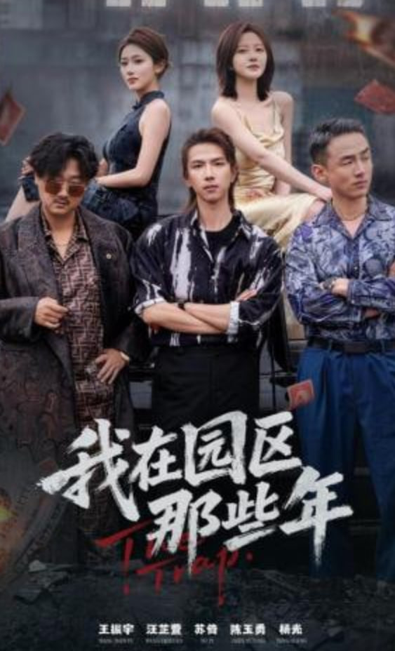 我在园区那些年